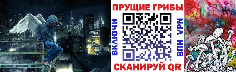 Псилоцибиновые грибы GOLDEN TEACHER  Купить  Михайловск 